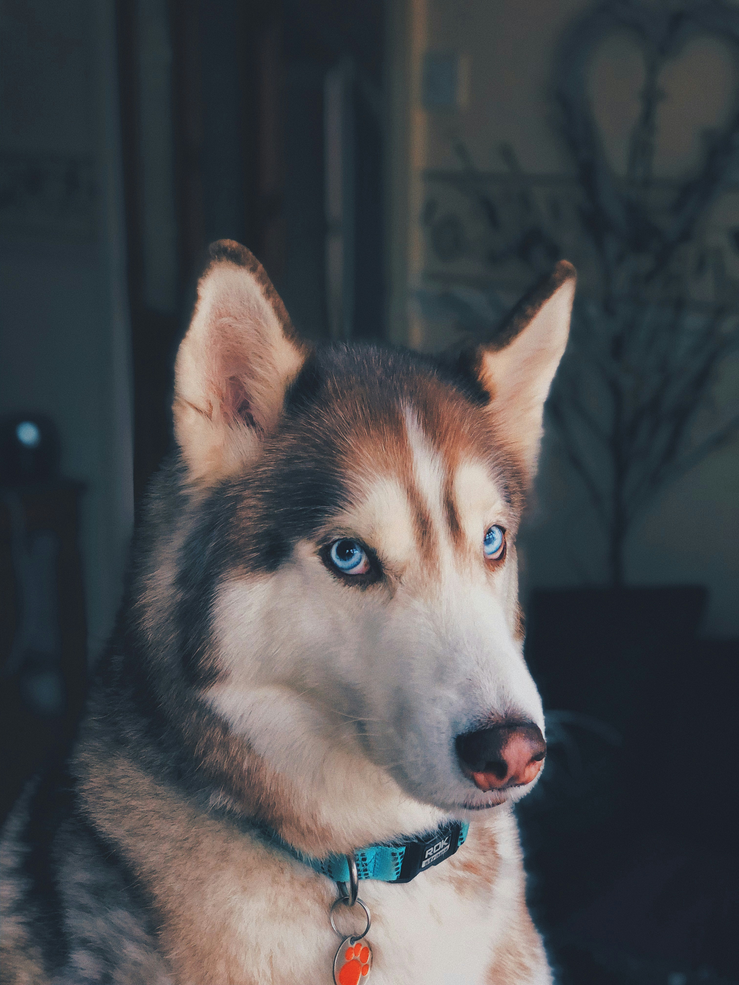 #